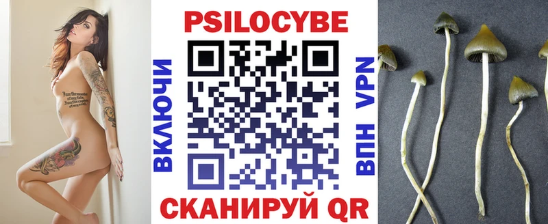 Псилоцибиновые грибы прущие грибы закладки Среднеколымск